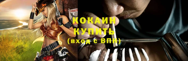 мдпв Майский